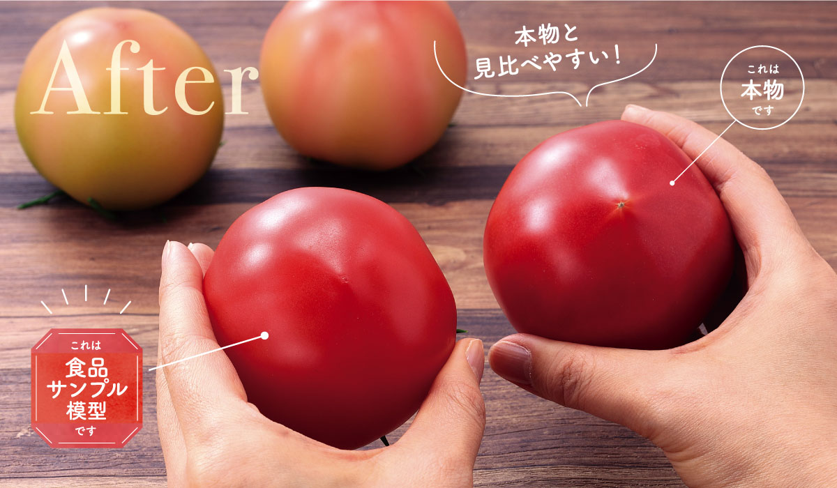 規格品トマト（食品サンプル模型)