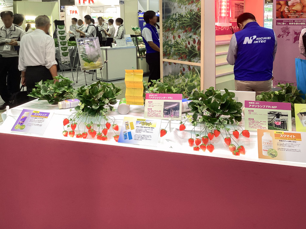 展示イメージ