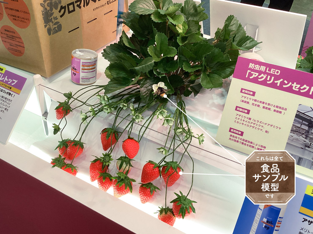 展示イメージ