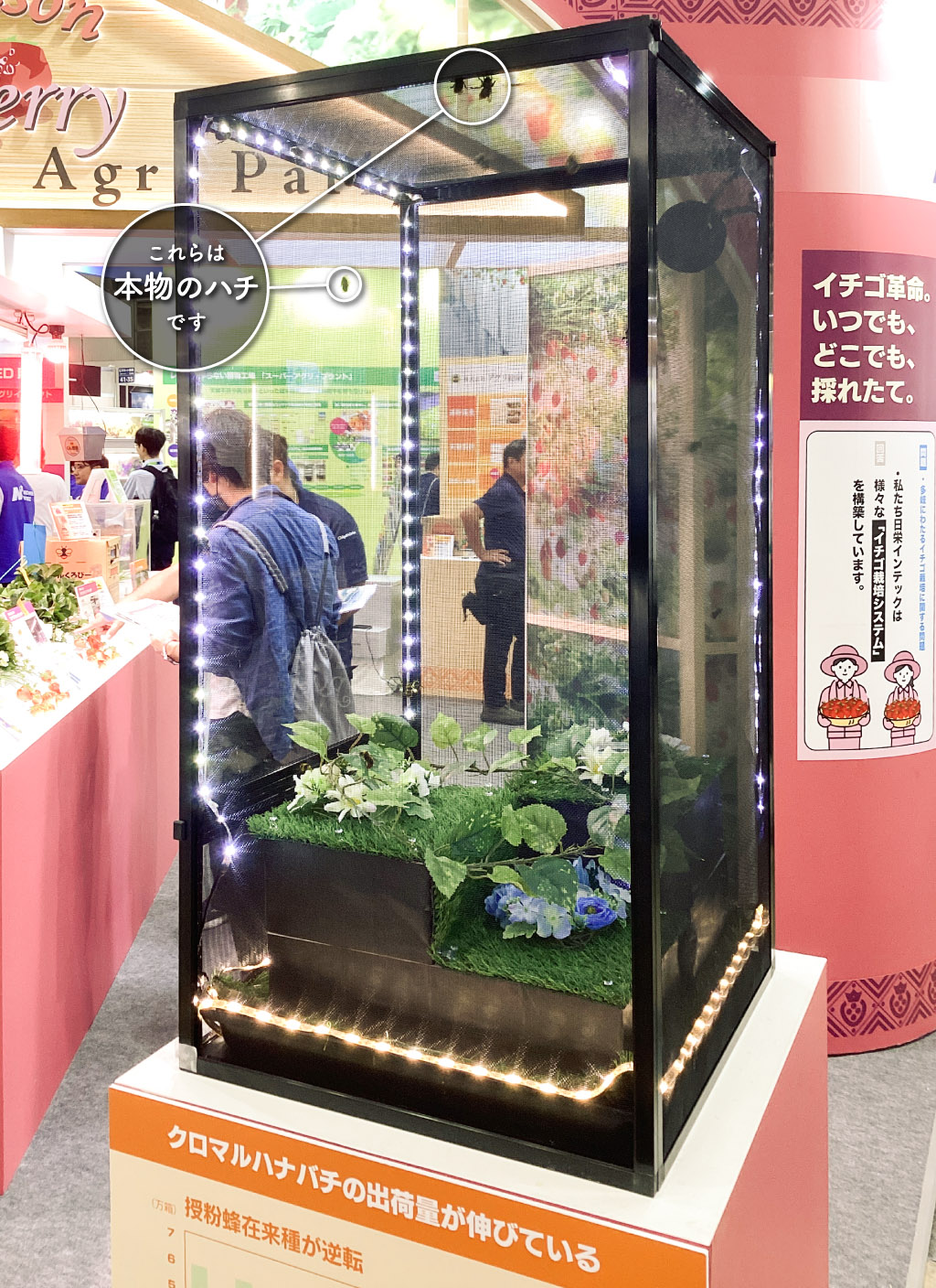 展示イメージ