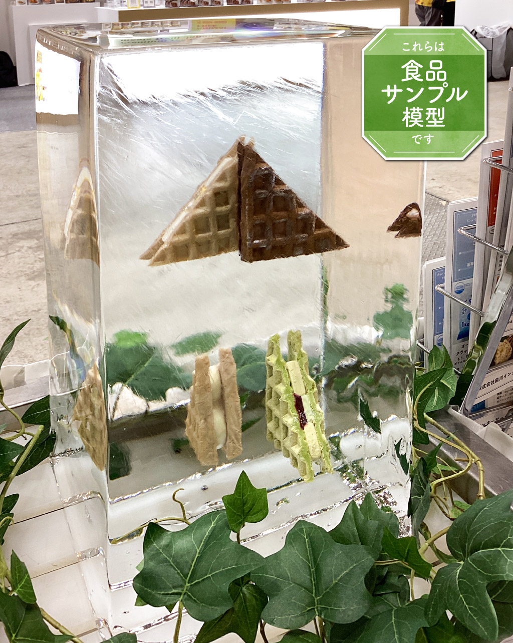 展示イメージ